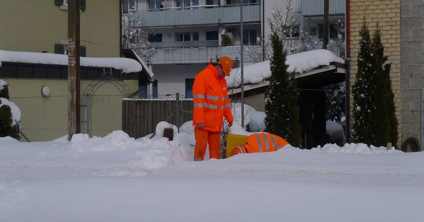 This image for Image Layouts addon